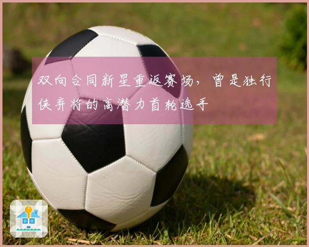 双向合同新星重返赛场，曾是独行侠弃将的高潜力首轮选手